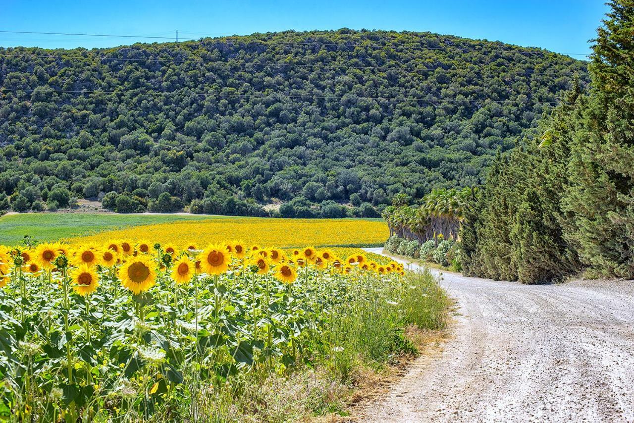 Alterhome Private Villa Cortijo Sierra Y Lago Arcos de la Frontera Dış mekan fotoğraf