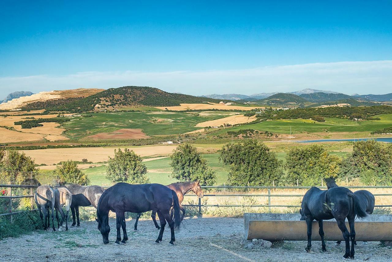 Alterhome Private Villa Cortijo Sierra Y Lago Arcos de la Frontera Dış mekan fotoğraf