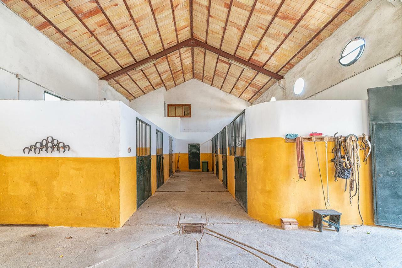 Alterhome Private Villa Cortijo Sierra Y Lago Arcos de la Frontera Dış mekan fotoğraf