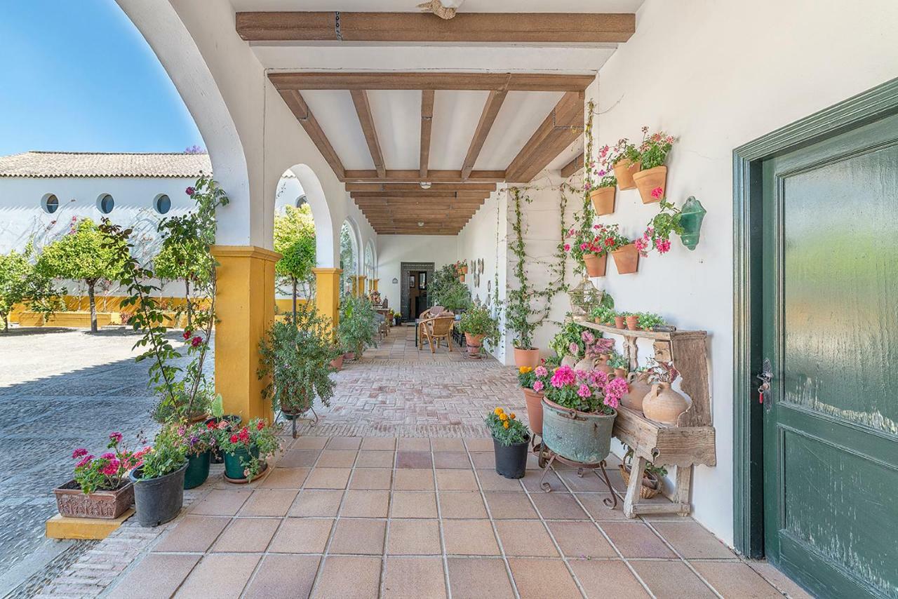 Alterhome Private Villa Cortijo Sierra Y Lago Arcos de la Frontera Dış mekan fotoğraf