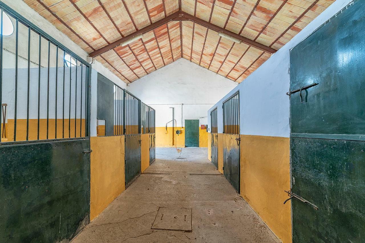 Alterhome Private Villa Cortijo Sierra Y Lago Arcos de la Frontera Dış mekan fotoğraf