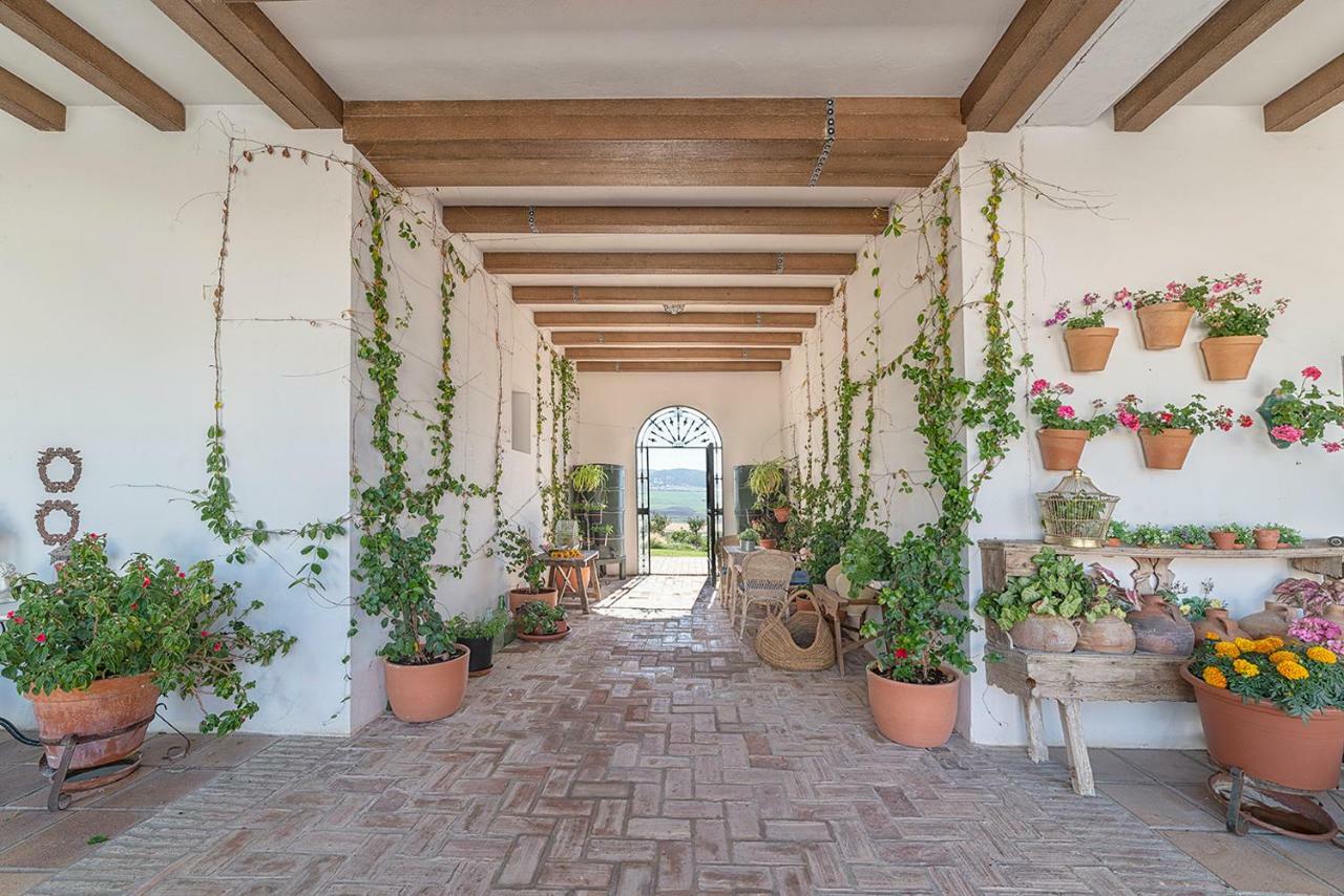 Alterhome Private Villa Cortijo Sierra Y Lago Arcos de la Frontera Dış mekan fotoğraf