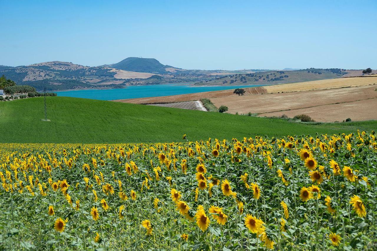 Alterhome Private Villa Cortijo Sierra Y Lago Arcos de la Frontera Dış mekan fotoğraf